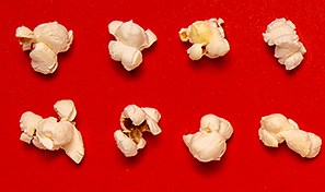 How to create a stop motion effect in Adobe Photoshop