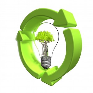 Fun Ecosystem Facts for Kids (All You Need to Know!)