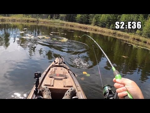 Fishing an OLD Hidden Gem for GIANT Pike