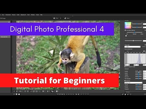 Canon DPP4 beginners tutorial 2021| Digital Photo Professional | Edit RAW files | Adjust your photo|
