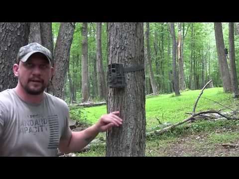 Moultrie A-20i Trail Camera Review
