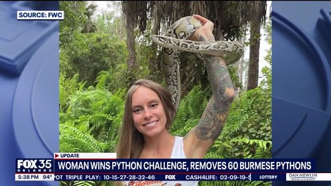 Florida woman wins 2025 Python Challenge with 60-snake haul