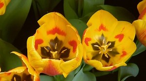 7.5K views · 45 reactions | ITV on Reels | Facebook