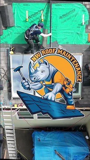 AERIAL Velux Skylight Repair