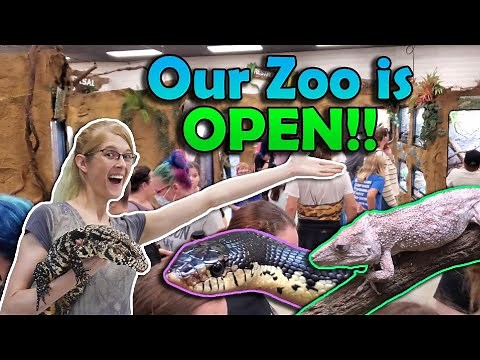 Snake Discovery GRAND OPENING!! (Building Update #20)