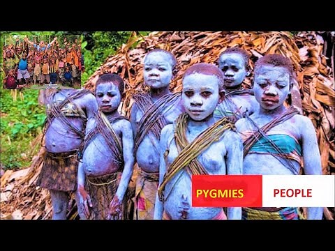 The 'Pygmies' | Pygmy Peoples Are Ethnic Groups Whose Average Height is Unusually Short
