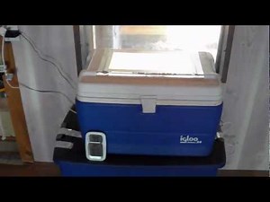 Homemade Incubator
