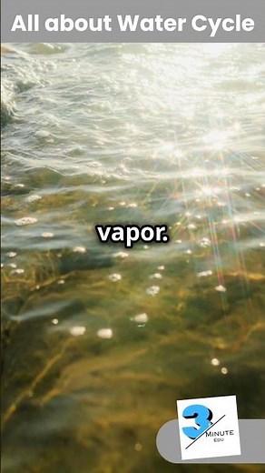 What is Water Cycle? Water Cycle for students | Condensation | Evaporation | Water vapor