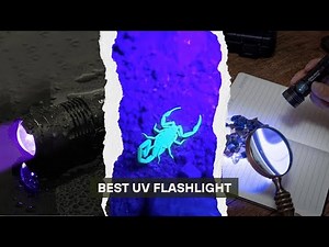 5 Best UV Flashlights 2026! Find Hidden Stains & More!