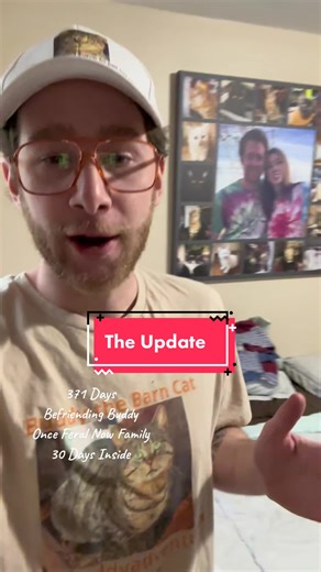 Befriending a Feral Cat: The Transformation of Buddy