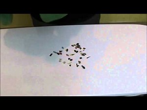 Electric Charges & Charging By Rubbing | Mini Physics - Free Physics Notes