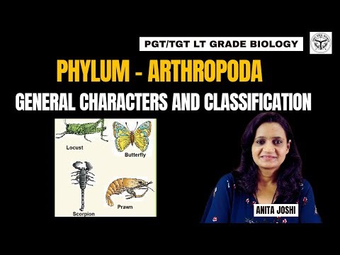 Phylum Arthropoda EXPLAINED General Characteristics and Classification