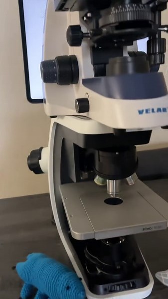 Microscope Under a Microscope