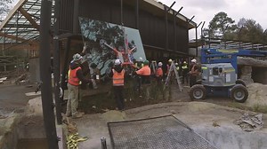 Having the largest fleet of glass handling equipment is just one of the many reasons to check out Kennards Hire for your next job. Our specialised equipment is backed by the peace of mind of 24/7 service and support. Click the link to learn more - http://bit.ly/2hhL1DV | Kennards Hire