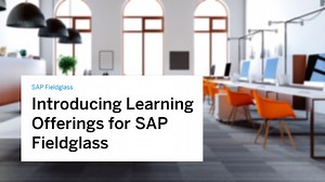 Introducing Learning Offerings for SAP Fieldglass