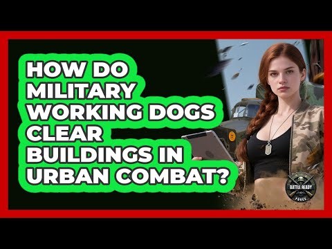 How Do Military Working Dogs Clear Buildings In Urban Combat? - Battle Ready Force