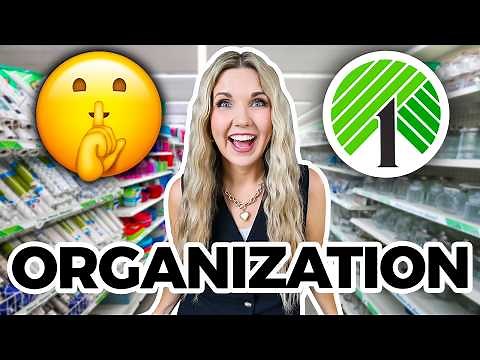 Organize your ENTIRE house with Dollar Tree items!