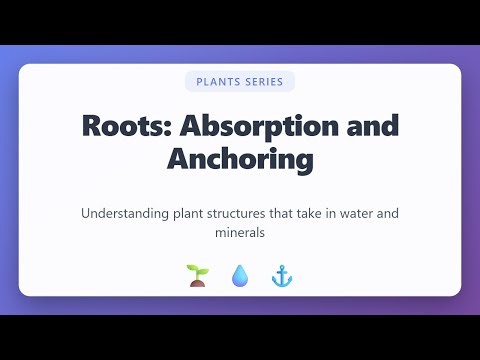 Plant Roots Explained: Absorption and Anchoring Functions | Botany for Beginners