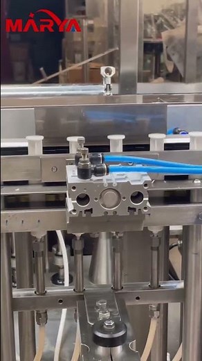 Marya Pharmaceutical Automatic Plastic Syringe Filling Machine PFS Filling Line Manufacturers China