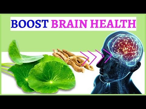 5 Herbs That Boosting Brain Power and Memory