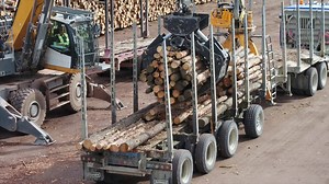 It takes the right combination of unbeatable craftsmanship and decades of knowledge to create our industry leading attachments. Our designs have been optimized to provide you with the most efficiency and performance possible! #therotobecdifference #rotobec #pulpwood | Rotobec