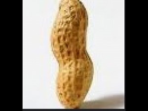 ROBLOX Rate my avatar OP script, (anti-blacklist, bypassed images, etc)