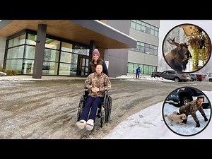 Fall Family Life // Calcaneus Fracture Recovery