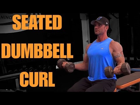 Seated Dumbbell Curl | 30-Second Exercise Demos