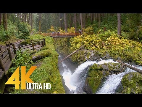 4K Virtual Hike - Amazing Nature Scenery with Soothing Music - Sol Duc Falls Nature Trail