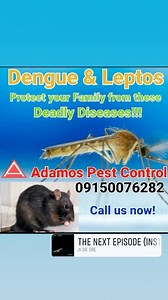 ADAMOS PEST CONTROL 09150076282 FREE ESTIMATE | Adamos PEST Control