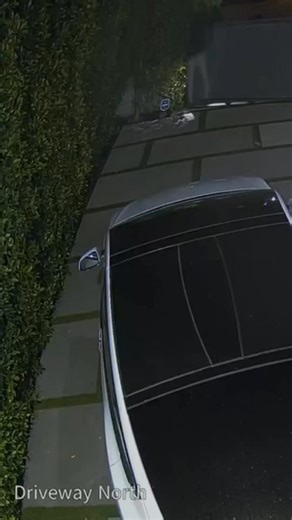 Feel safer with technology that doesn’t wait. Brinks Home gives you free professional installation, real-time notifications, and a monitoring team ready to act the moment trouble is detected. | Brinks Home