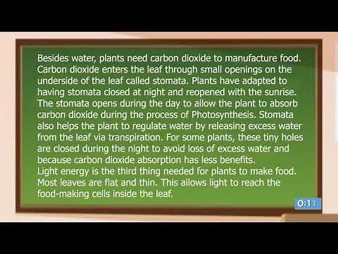 English Language - Grade 7: Reading Skills