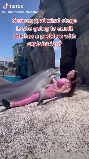 Dolphin Exploitation: The Reality Behind Dolphins and Human Interaction