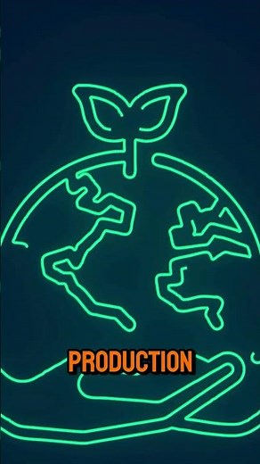 How Biodiversity Loss is Impacting Ecosystem Stability