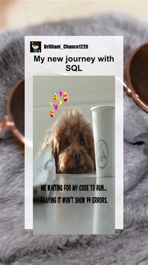 My new journey with SQL #memes #meme #memesdaily