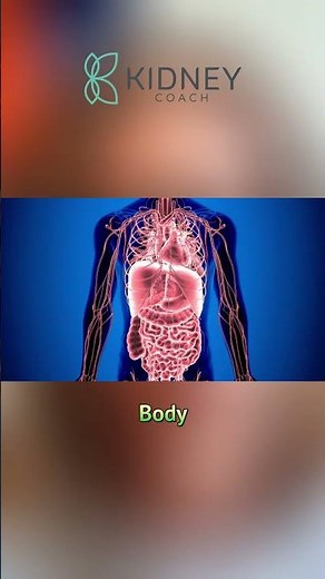 What Is Kidney Cancer? | Renal Cell Carcinoma | #Kidney #Tumor