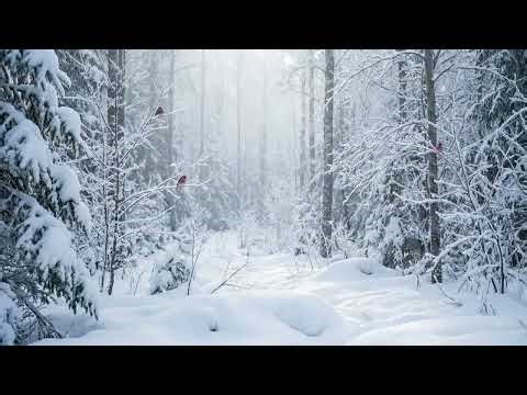 ❄️ 1 Hour of Winter Song Birds - Purple Finch Birdsongs for Relaxation & Focus