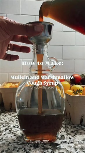 Homemade Mullein and Marshmallow Root Syrup Recipe