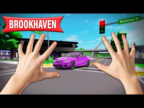 BROOKHAVEN IN REAL LIFE!