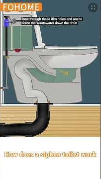 How does a siphon toilet work? #sanitarywares #toilet
