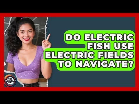 Do Electric Fish Use Electric Fields To Navigate? - The Everyday Why