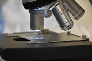 What is Clinical Laboratory Science? | Clinical Laboratory Science