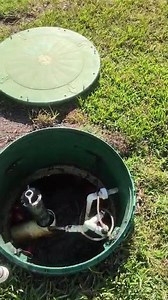 Rejuvenating Drainfields - Be Amazed with BioMaze #septictankbiotech #environmentalawareness