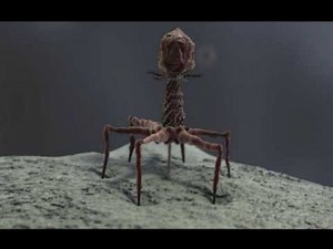 3d Demo Reel (bacteriophage T4 and stereocilia) - medical animation
