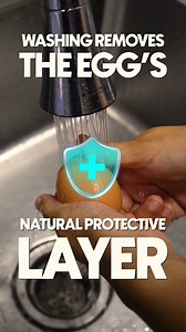 59 reactions | Think washing eggs makes them cleaner? It can...