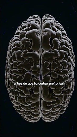 ¿Sabes lo que es la intuición?