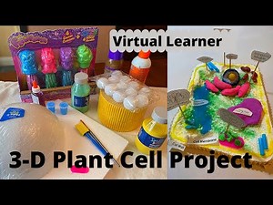 Virtual Learners: How to Video - 3D Plant Cell Model