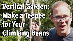 How Build a Green Bean Teepee and Other Ways to Support Beans