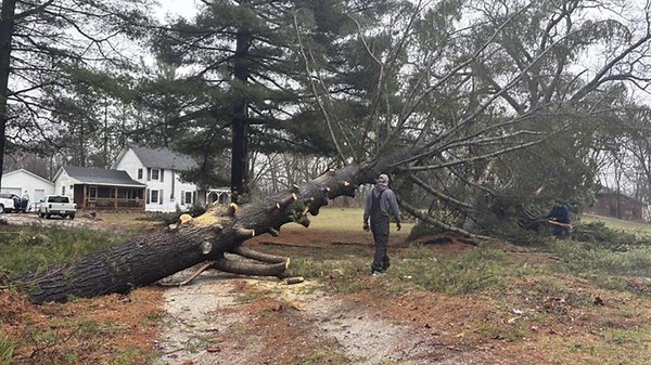 PHOTOS: Storm damage from Tuesday night and Wednesday morning across Indiana