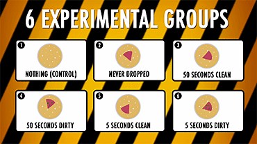 The five-second rule: Designing an experiment | Science News Explores